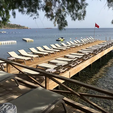 Sandima 37 Hotell 5*