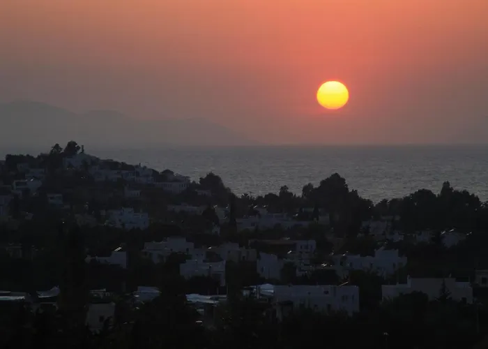 Sandima 37 Yalikavak