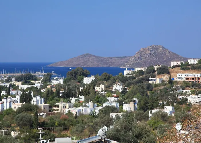 Ξενοδοχείο Sandima 37